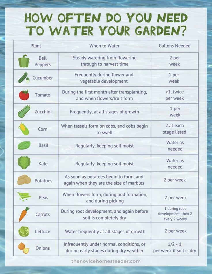 a poster with the words how often do you need to water your garden?