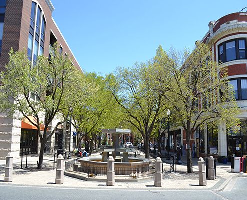 a city street with buildings and trees on both sides