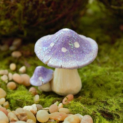 a purple mushroom sitting on top of a moss covered ground