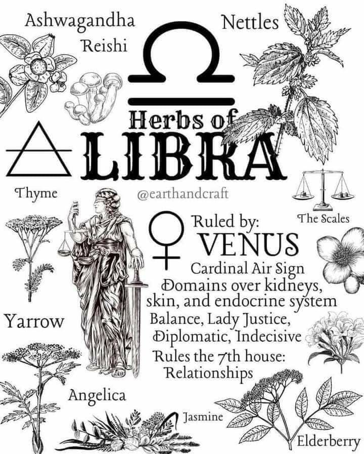 an image of the symbols for libra and virgous on a cell phone