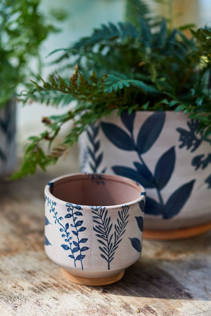 two potted plants sitting on top of a wooden table next to another planter