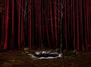 a tree in front of a red curtain with snow on the ground next to it