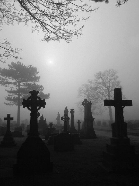 an old cemetery with crosses in the fog