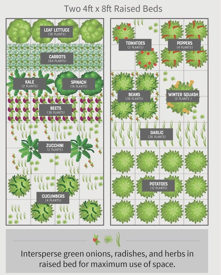 two different types of raised beds with the names and numbers on each side, one for each