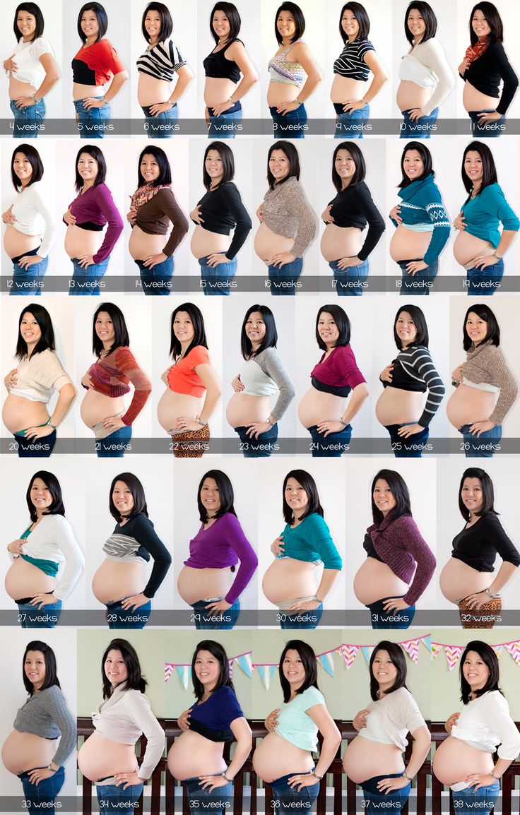 the pregnant women are posing for pictures in different colors and sizes, all showing their stomachs