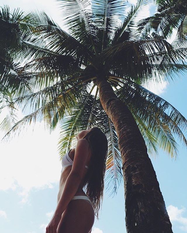 a woman standing under a palm tree on top of a blue and white phone screen