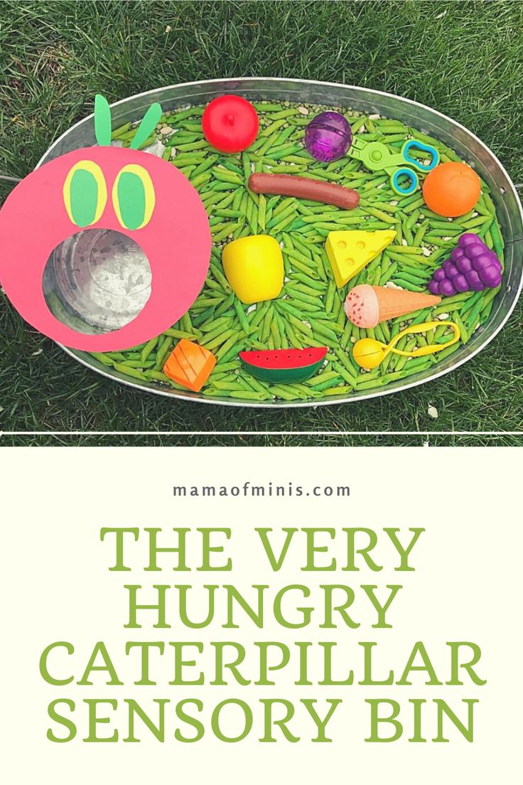 Hungry Caterpillar Sensory Bin Bug Themed Sensory Bin, Insect Sensory Table, Caterpillar Preschool Theme, Preschool Hungry Caterpillar Theme, The Very Hungry Caterpillar Crafts For Infants, Sensory Theme Preschool, The Hungry Caterpillar Sensory Bin, Book Week Sensory Play, Art Sensory Bin Preschool