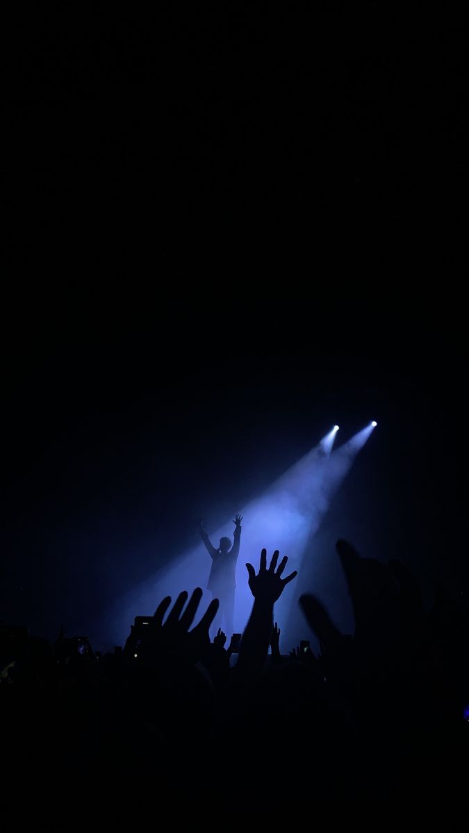 the silhouettes of people at a concert with their hands in the air and lights shining down on them