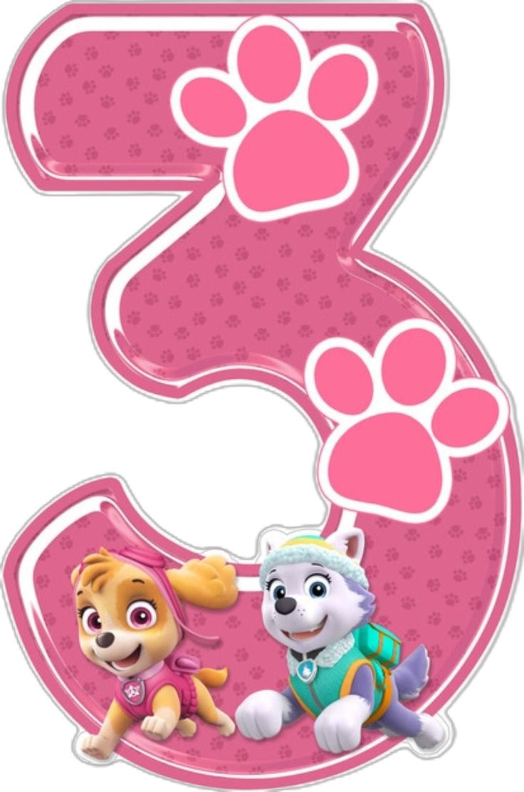 the number three with paw patrol characters in pink and white, on a white background