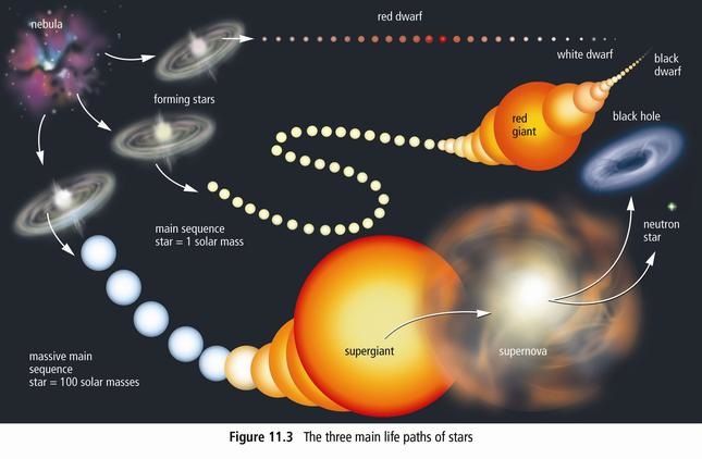 Picture | Solar mass, Space and astronomy, Life cycles