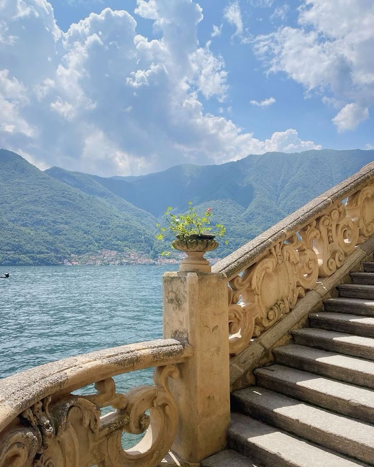 the stairs lead down to the water and there is a plant growing out of it