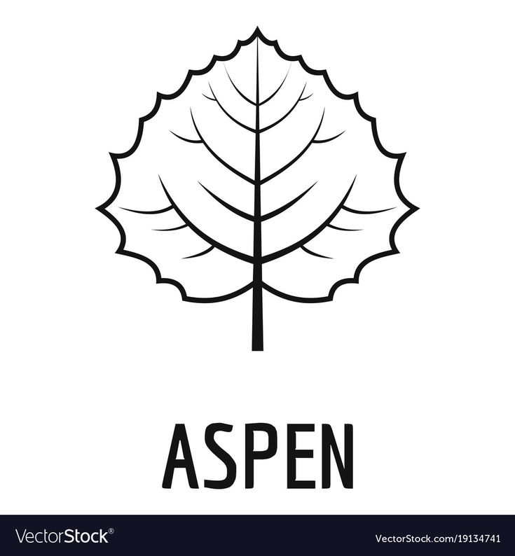 an aspen leaf with the word aspen in black and white text below it on a white background