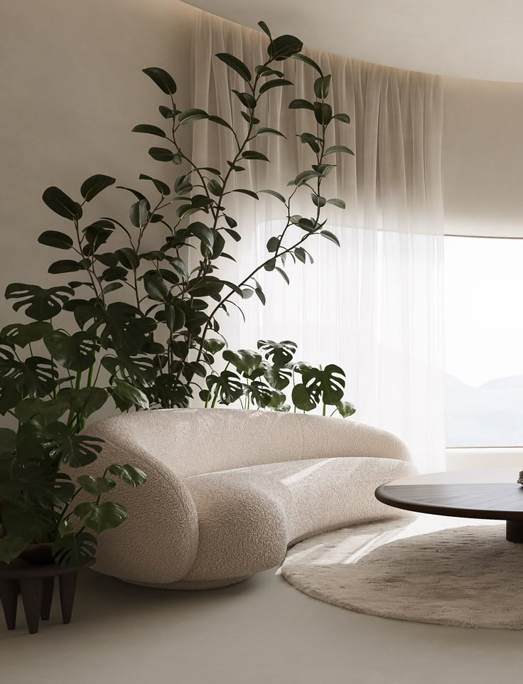 a living room filled with furniture and a potted plant next to a large window