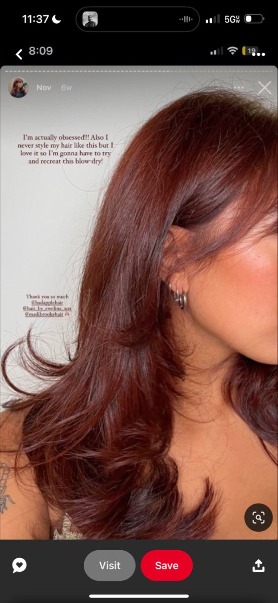 Red Hair Layers, Hair Color For Warm Skin Tones, Hair Color For Tan Skin, Cherry Brown Hair, Copper Brown Hair, Cherry Hair Colors, Red Copper Hair Color, Cinnamon Hair, Cherry Red Hair