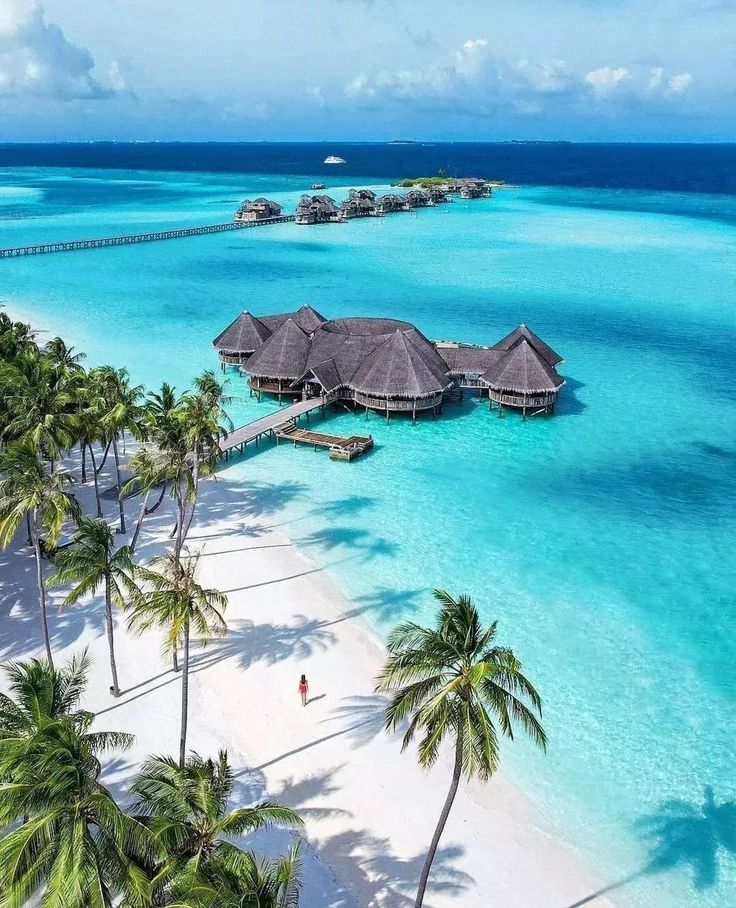 an aerial view of the beach and water with palm trees in the foreground, surrounded by overwater huts