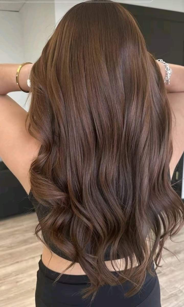 Brown Hair Inspiration, Natural Brown Hair, Cinnamon Hair, Wig Brown, Color Transition, Brown Hair Looks, Brown Hair Inspo, Brunette Balayage, Brunette Hair With Highlights