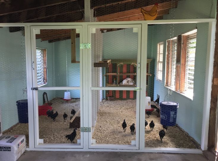 the inside of a chicken coop with chickens in it