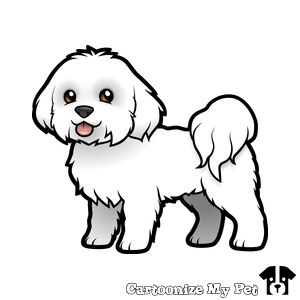 a drawing of a white dog with long hair