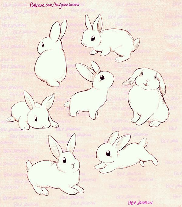 an image of rabbits in different positions on a pink background with words written below it