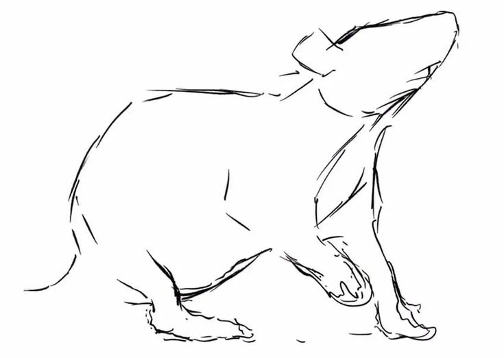 a black and white drawing of a dog