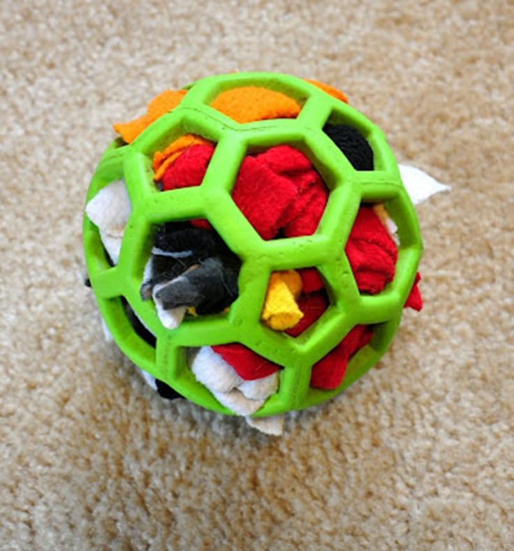 a green and red ball on the floor with other items in it's center