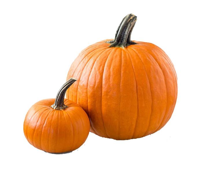 two orange pumpkins sitting next to each other on a white surface with no background