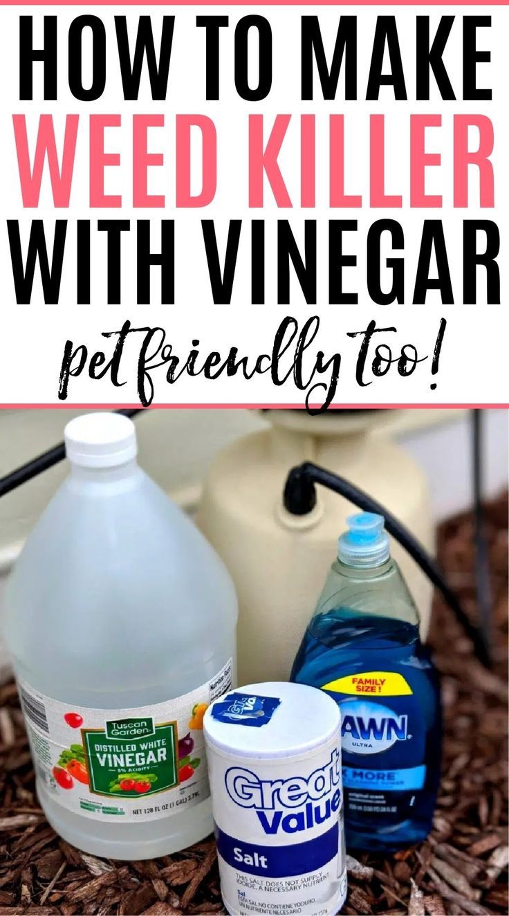 Ready for an all natural weed killer for your garden beds? Check out this easy to make homemade weed killer. It only takes 3 ingredients and it is safe for pets! Kill Weeds With Vinegar, Kill Weeds Naturally, All Natural Cleaning Products, Killing Weeds, Garden Weeds, Cleaners Homemade, Diy Natural Products, Natural Cleaning Products, Diy Cleaning Products