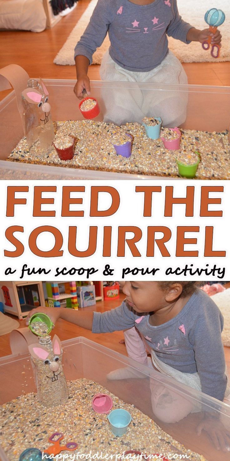 Feed the Squirrel – HAPPY TODDLER PLAYTIME Animals Kindergarten, Kindergarten Sensory, Fall Sensory Bin, Fall Activities For Toddlers, Autumn Activity, Fine Motor Activity, Toddler Sensory, Fall Preschool, Daycare Activities