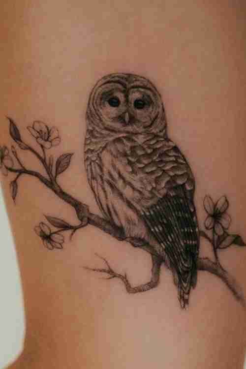 an owl sitting on a tree branch tattoo