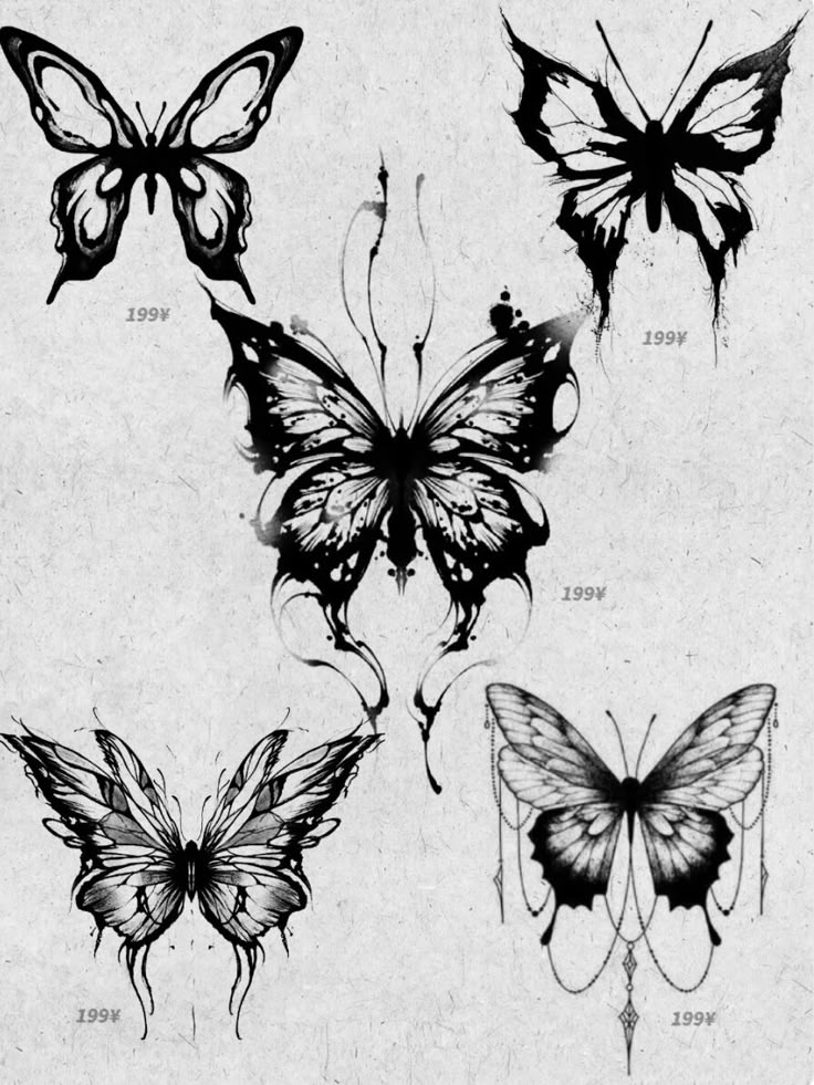 four different butterflies drawn in ink on white paper with black and white writing, each one has