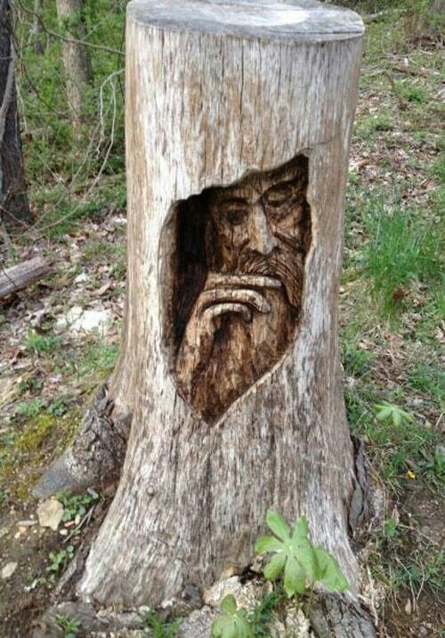 a carved tree stump with a man's face in the center and text that reads, when stumped, you must get to the root of the problem