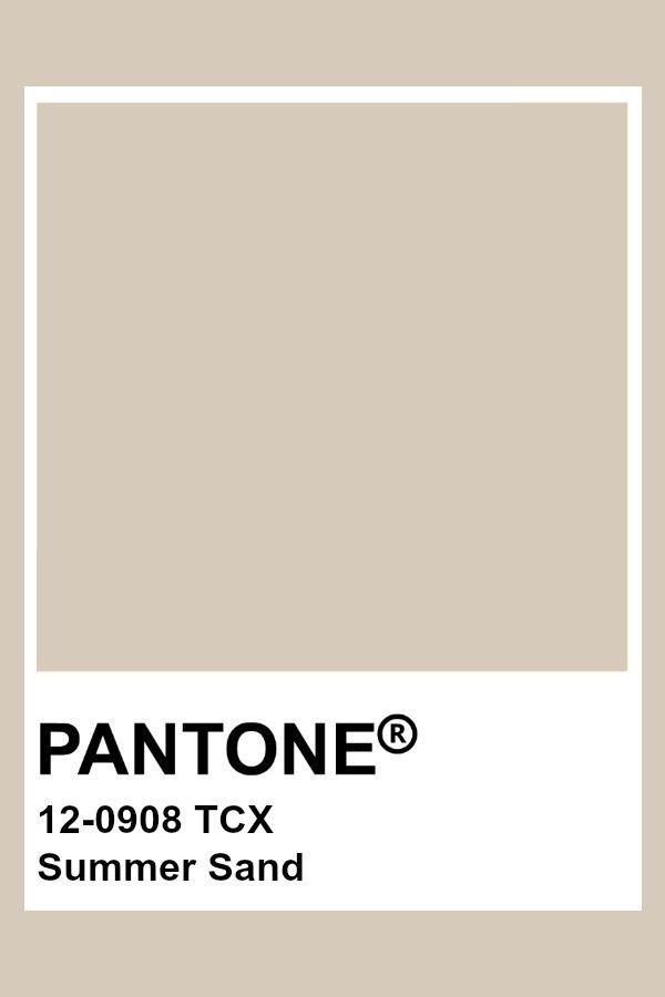 the pantone color is shown in white and beige, with an open rectangle on top