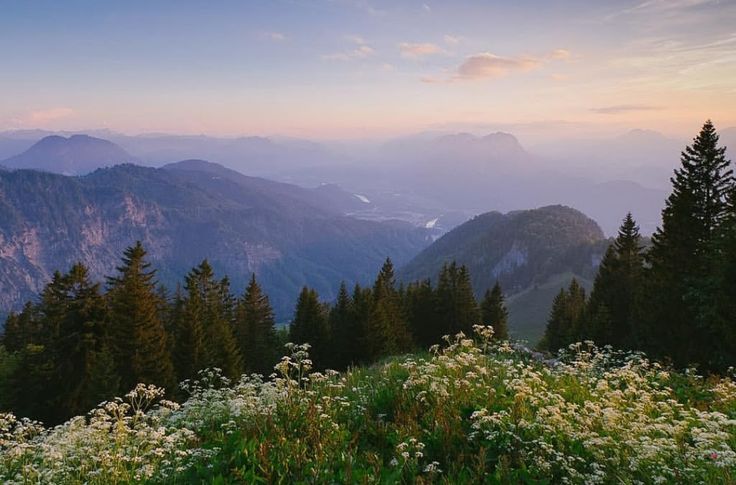 the mountains are covered in trees and flowers at sunset or dawn, as seen from an overlook point