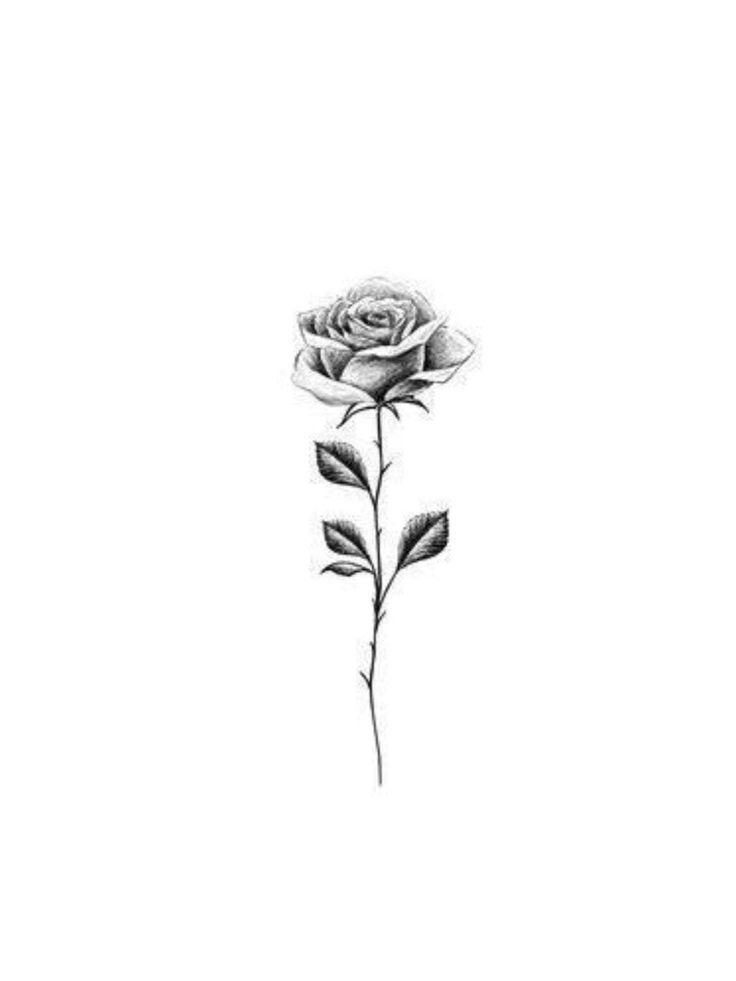 Rose Tattoos Men, Rose Minimal Tattoo, Minimal Rose Tattoo, Rose Tattoo Men, Single Rose Tattoos, Rose Tattoos For Men, Rose Tattoos For Women, Small Rose Tattoo, Cool Wrist Tattoos