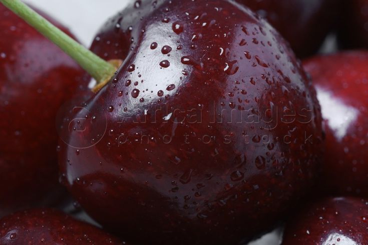 the cherries are covered with water droplets