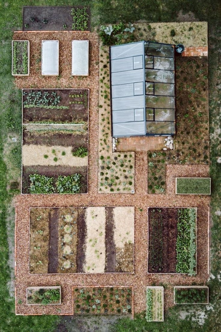 an aerial view of a vegetable garden