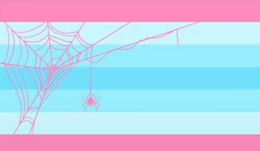 a spider sits on its web in front of a blue and pink striped wallpaper