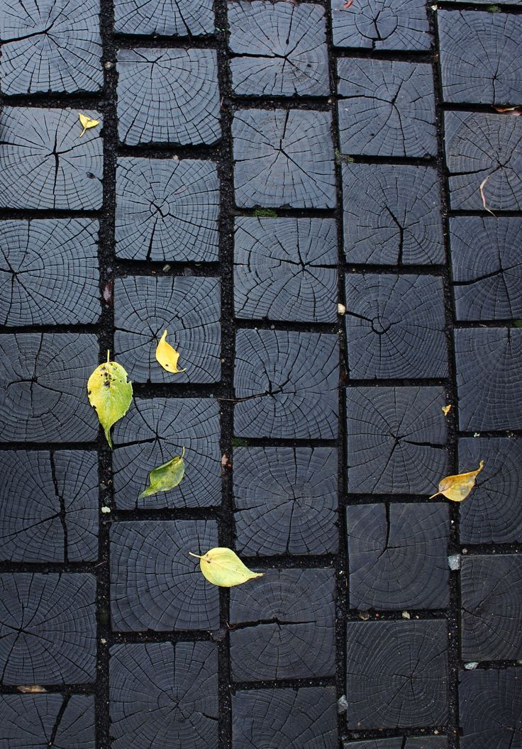 leaves are on the ground with black tiles