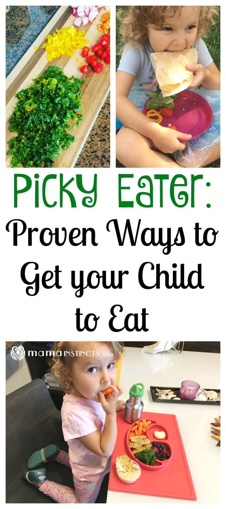 the cover of picky eater how to engage your child to eat essential tips for raising a healthy eater