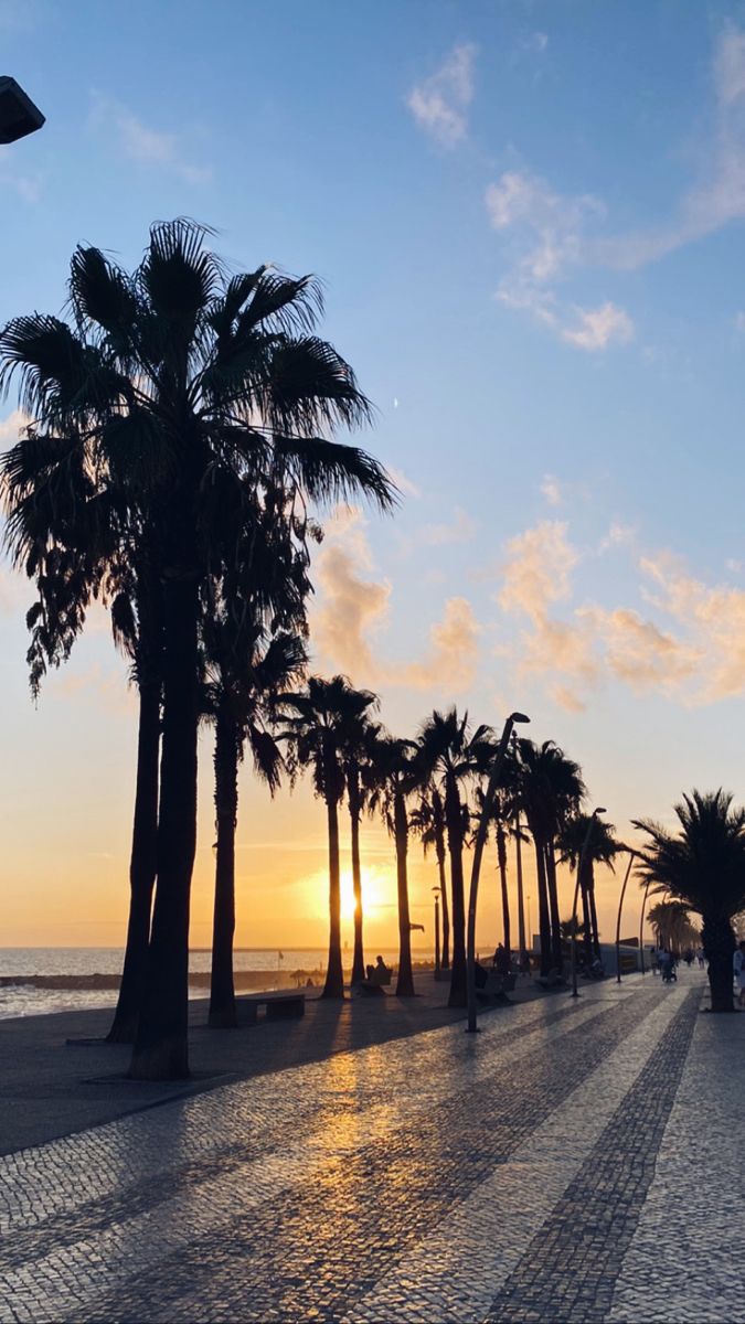 palm trees line the beach as the sun sets in the distance behind them and people are walking on the sidewalk