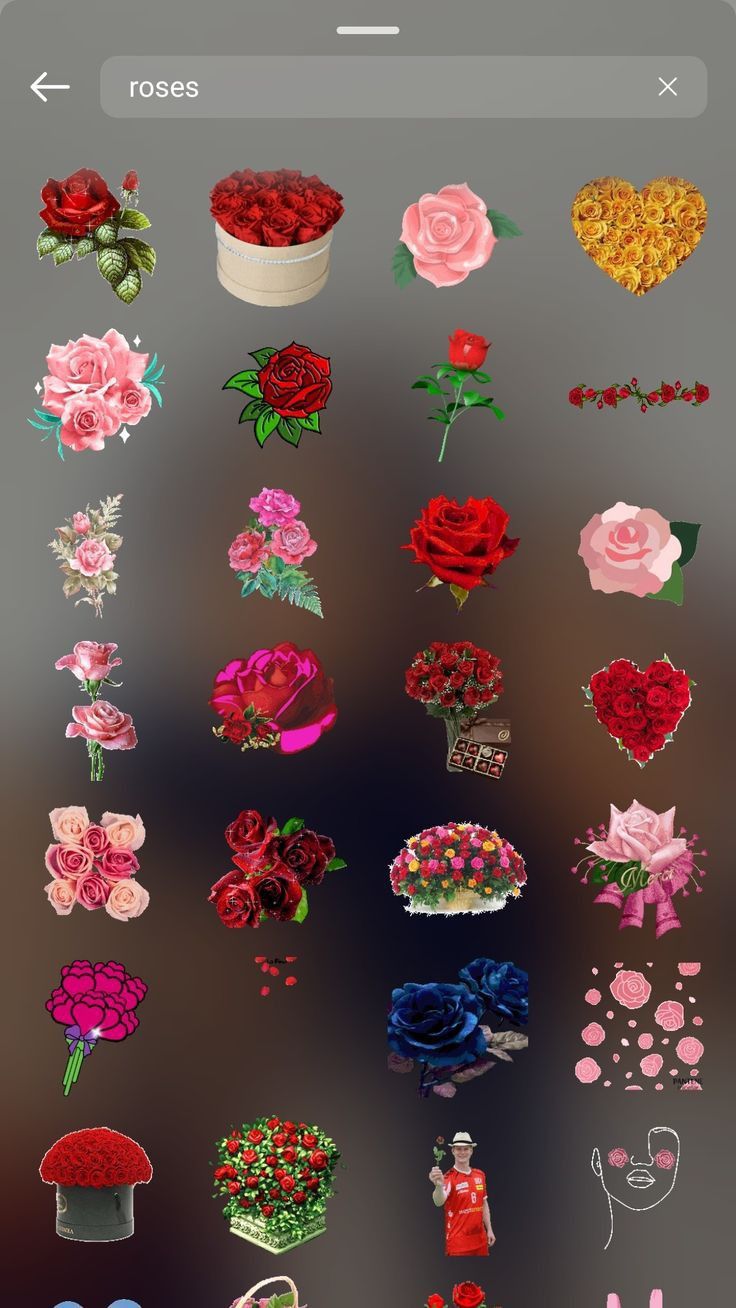 the flowers are arranged in different shapes and sizes, including roses on top of each other