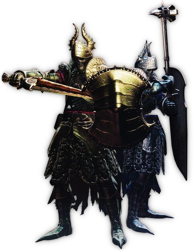 Golden Knight & Silver Knight [Dragon's Dogma] Dragon Dogma, Dragon Dogma Dark Arisen, Demon Knight, Plague Knight, Dragons Dogma, Golden Knight, Female Orc, Dark Zone, Silver Knight