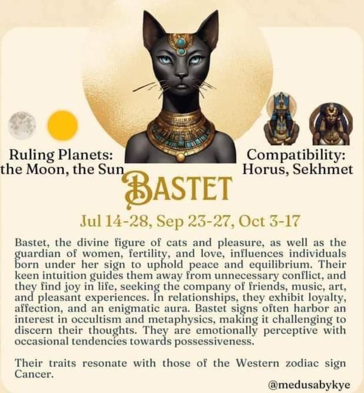 an advertisement for the upcoming event with cats and egyptian symbols on it's back