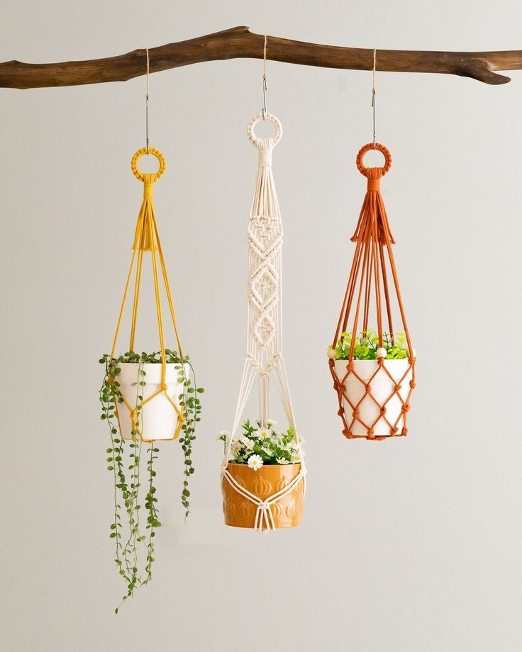 three hanging planters with plants in them