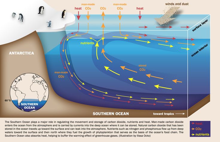 the ocean floor is covered in water and has many arrows pointing to different locations on it