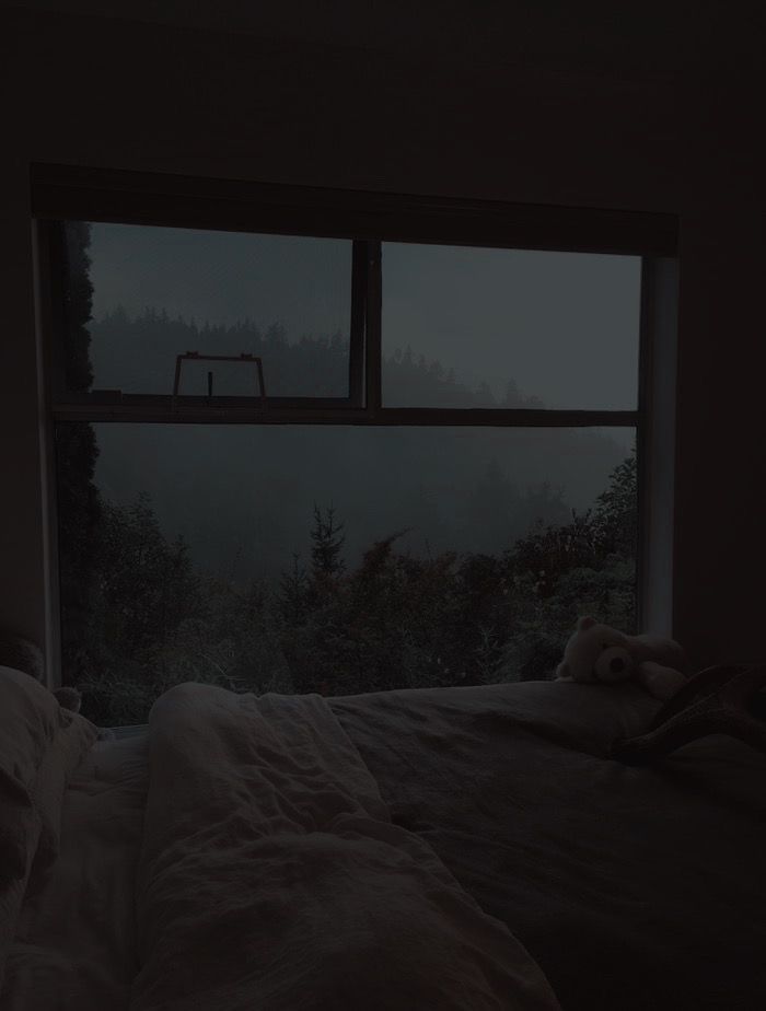 an empty bed in a dark room with a window overlooking the trees and foggy sky