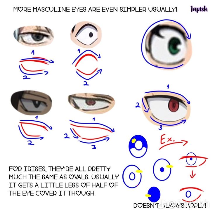 the instructions for how to draw an eye