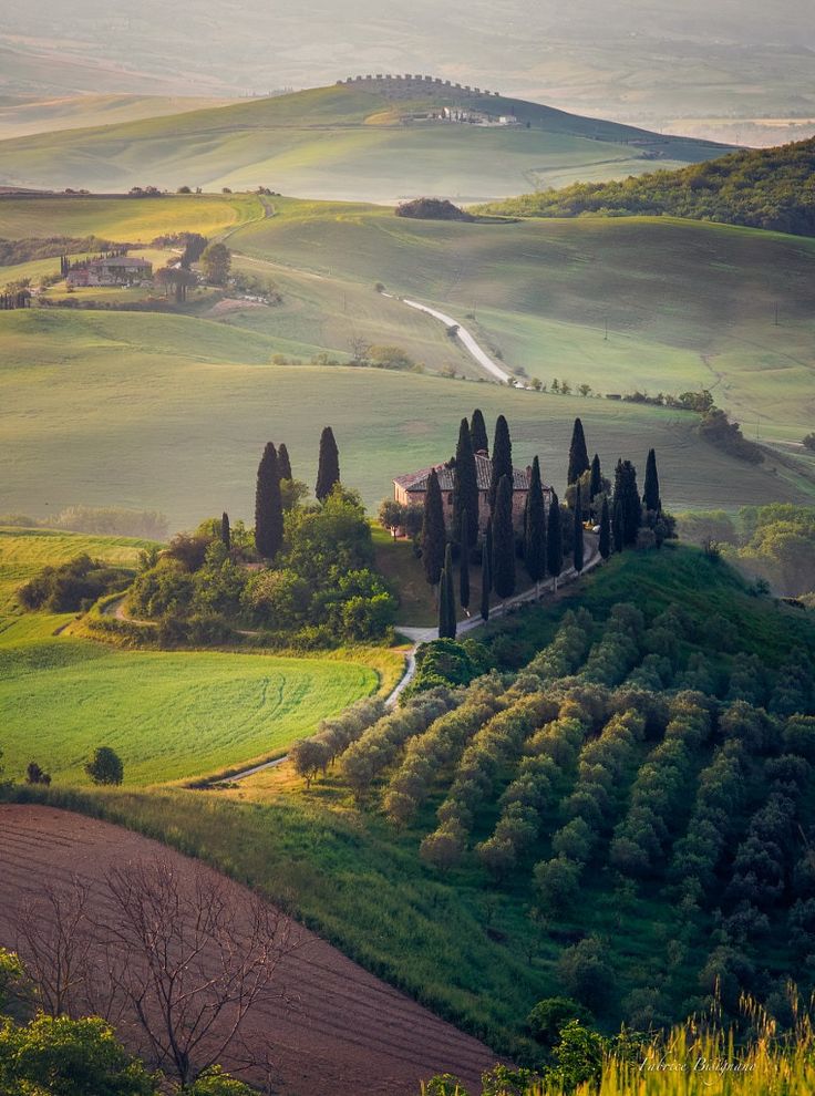 the rolling hills are dotted with trees and grass