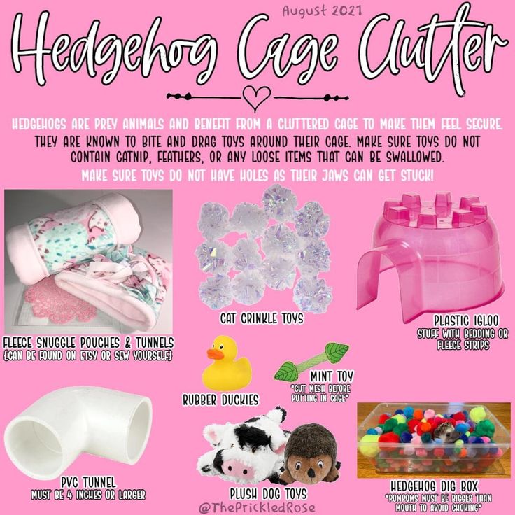 Toys For Hedgehogs, Hedgehog Care Guide, Hedgehog Habitat Ideas, Pygmy Hedgehog Cage, Diy Hedgehog Toys, Hedgehog Cage Ideas, Kibble Toppers, Hedgehog Cages, Hedgehog Pet Cage