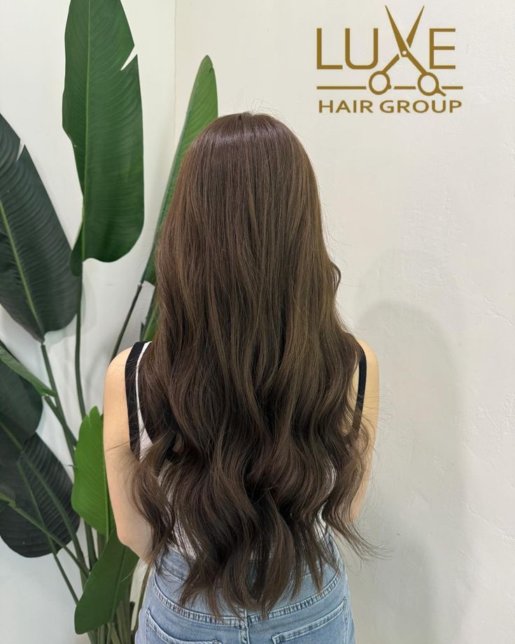 Natural Matt Brown Matt Brown Hair, Matt Brown, Johor Bahru, Facebook Messenger, Hair Studio, Hair Waves, Prom Hair, Brown Hair, Hair Stylist